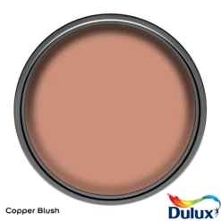 Dulux Easycare Kitchen Copper Blush Matt Wall Paint, 2.5L 10 Dulux Easycare Kitchen Copper Blush Matt Wall Paint, 2.5L -Outlet Paint Hub Store dulux easycare kitchen copper blush matt wall paint 2 5l5010212668429 12c bq