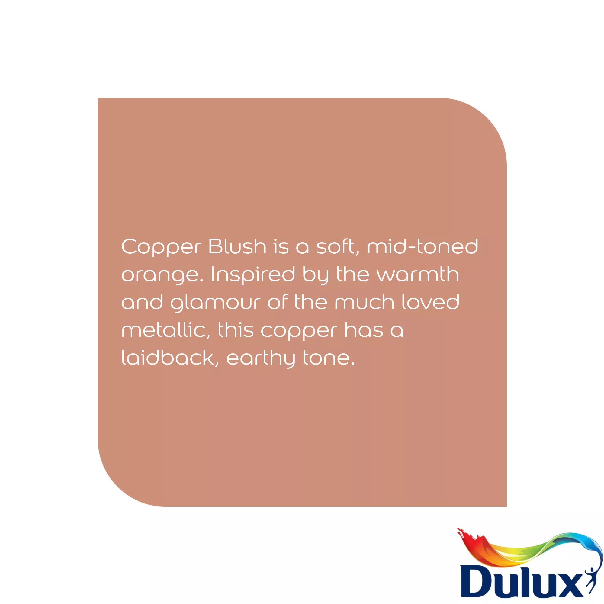 Dulux Easycare Kitchen Copper Blush Matt Wall Paint, 2.5L 5 Dulux Easycare Kitchen Copper Blush Matt Wall Paint, 2.5L - Image 5