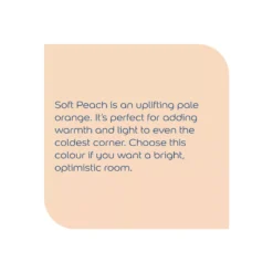 Dulux Easycare Soft Peach Matt Emulsion Paint, 2.5L -Outlet Paint Hub Store dulux easycare soft peach matt emulsion paint 2 5l5010212640173 36c bq