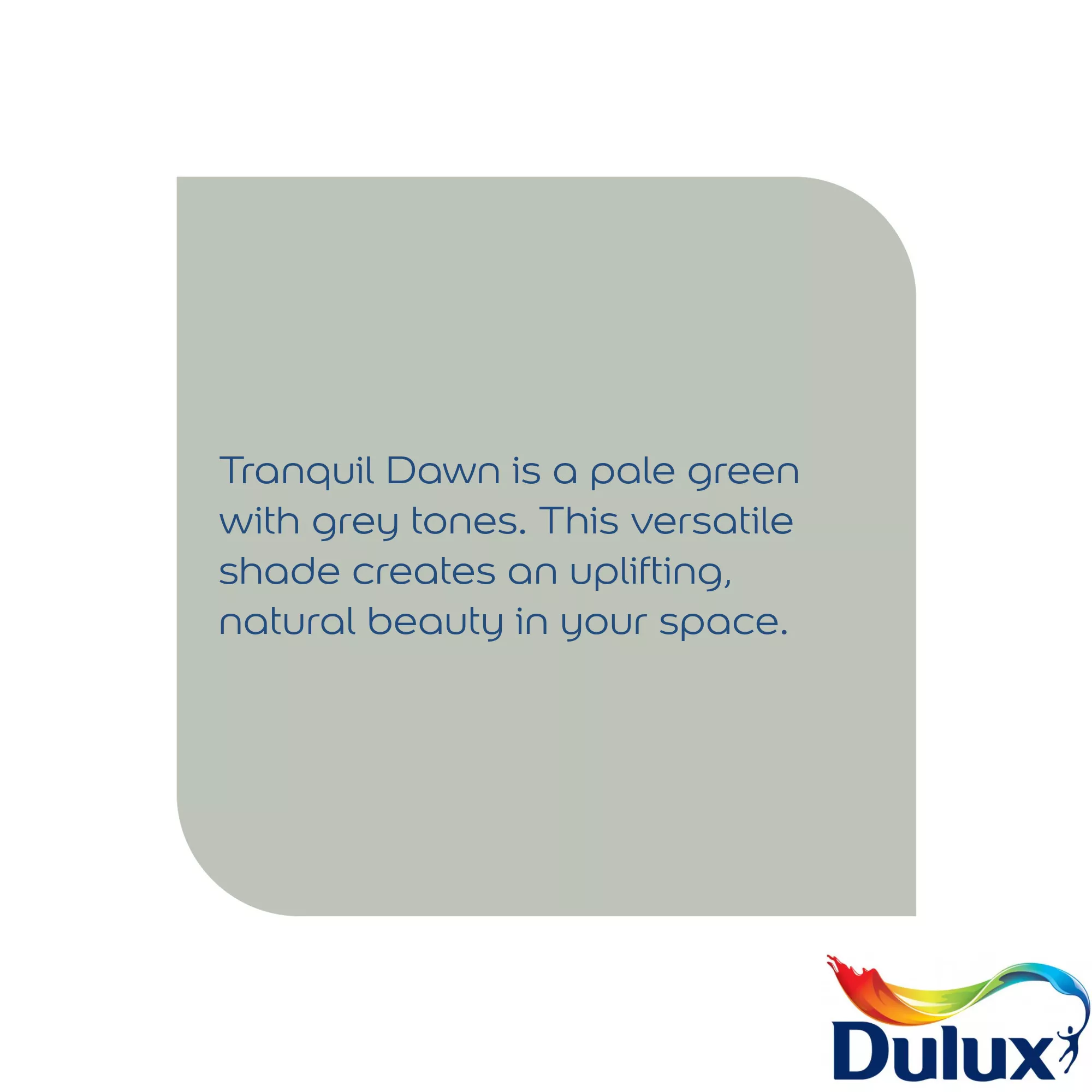 Dulux Easycare Washable & Tough Tranquil Dawn Matt Wall Paint, 5L 6 Dulux Easycare Washable & Tough Tranquil Dawn Matt Wall Paint, 5L - Image 6