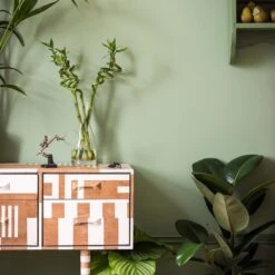 Farrow & Ball Modern Breakfast Room Green No.81 Eggshell Paint, 750ml -Outlet Paint Hub Store farrow ball modern breakfast room green no 81 eggshell paint 750ml5051836297817 02i bq