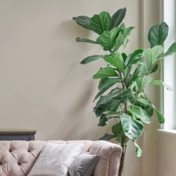 Laura Ashley Soft Natural Matt Emulsion Paint, 2.5L 8 Laura Ashley Soft Natural Matt Emulsion Paint, 2.5L -Outlet Paint Hub Store laura ashley soft natural matt emulsion paint 2 5l5011583472141 02i bq